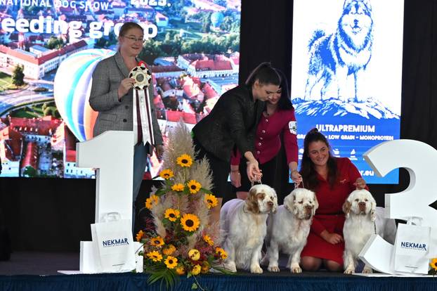 FOTO Neodoljive su njuškice ovih dana blistale u Karlovcu