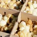 Nizozemska: Zbog ptičje gripe će usmrtiti 216 tisuća pilića
