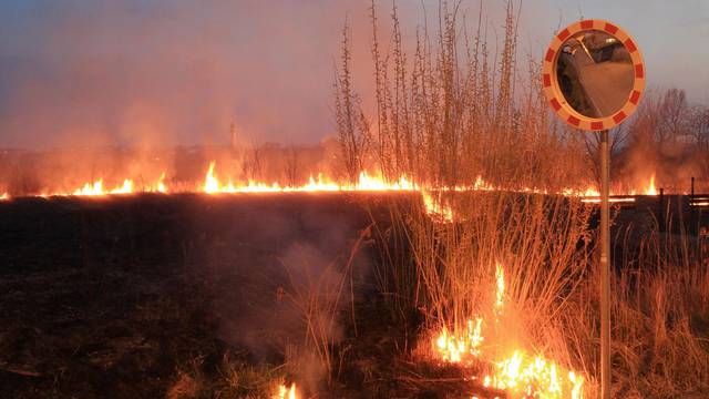 Slavonski Brod: Palili su korov pa izazvali požar u šumi