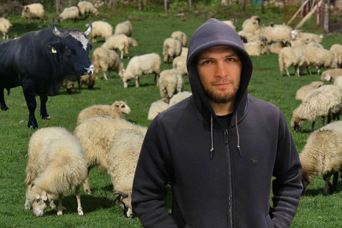 'Nemam više interes za MMA. Kupio sam ovce, imam i bikove, cilj mi je završiti fakultet...'