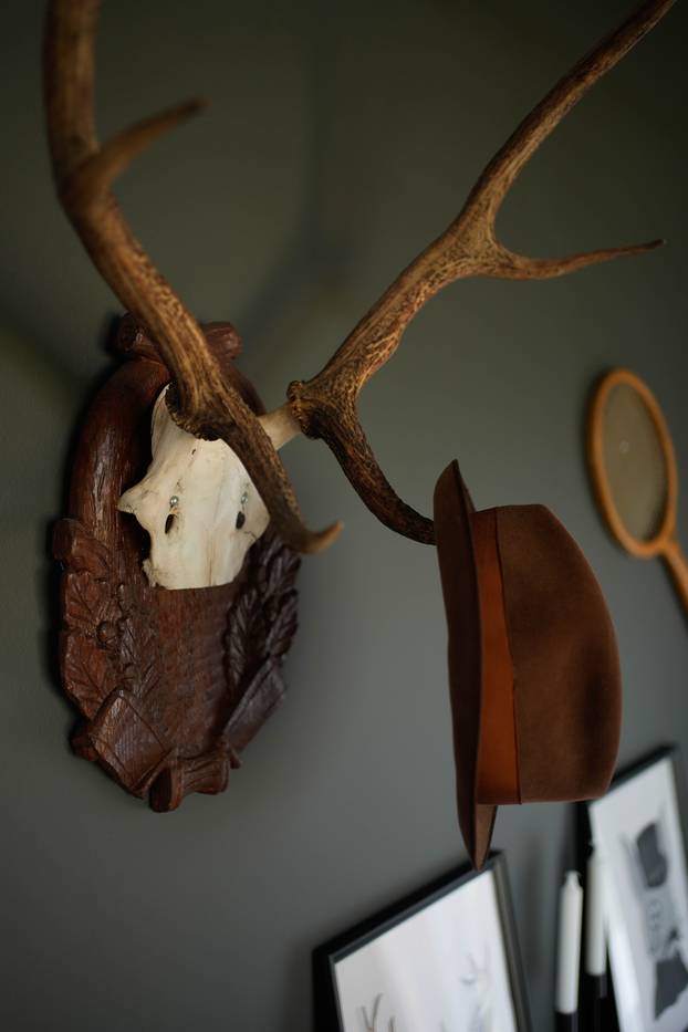 FOTO Wellness oaza u blizini Zagreba: Moderna 'koliba' savršen je spoj luksuza i prirode