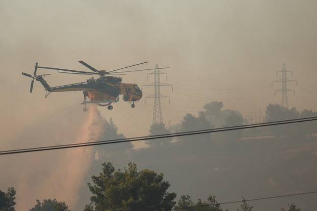 Wildfire in Drosopigi near Athens