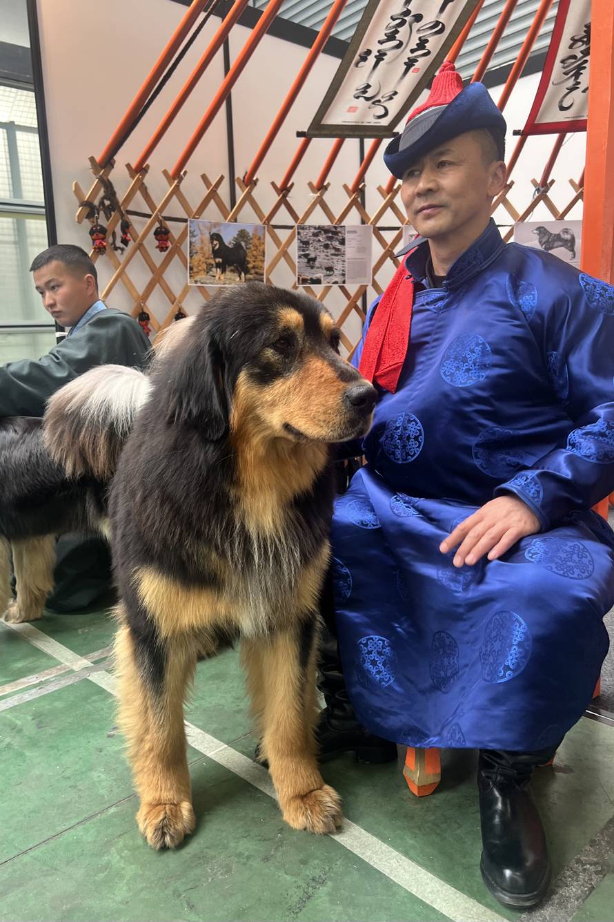 Neustrašivi mongolski ovčari letjeli su 20 sati do Zagreba da ih se prvi put predstavi svijetu!