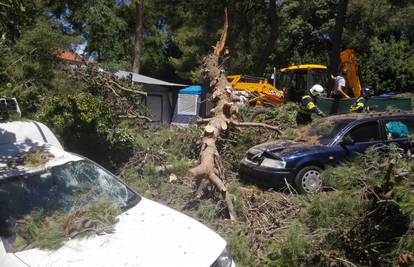 Srušilo se stablo  u autokampu: Grana je ozlijedila dvoje djece