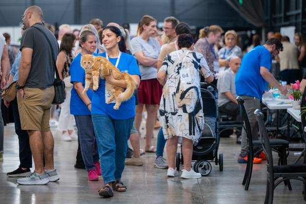 Zagreb: Drugi dan Međunarodne izložbe mačaka