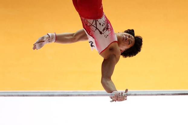 2025 World Artistic Gymnastics Championships