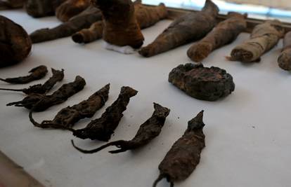 U grobnici u Egiptu pronašli su desetke mumificiranih miševa