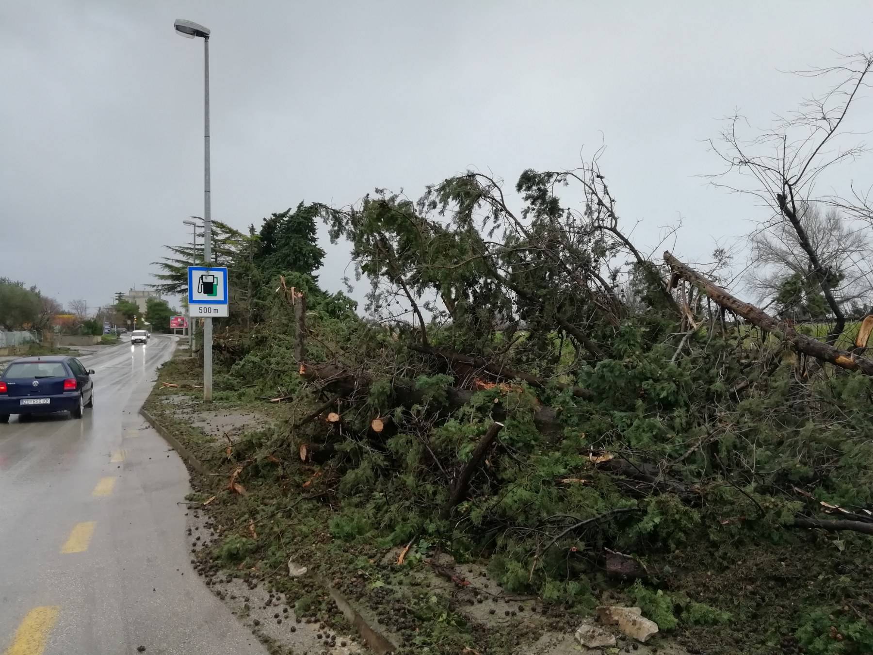 Oluja u Zadru: Pijavica srušila bor kraj žene, jedva se spasila