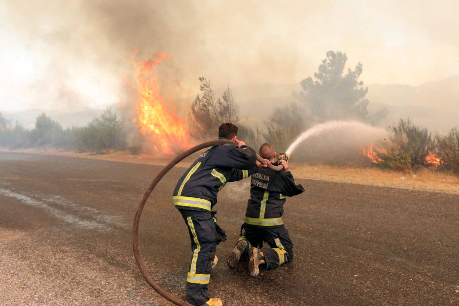 Wildfires in Turkey - Manavgat