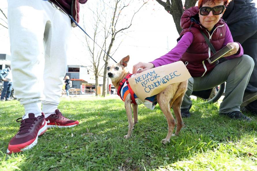 Zagreb: Darko Rundek predvodio Å¡etnju za oÄuvanje potoka Ärnomerec