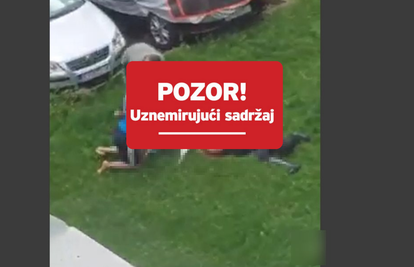 Horor u Varaždinu:  Bul terijeri ozlijedili ženu i njenog psa