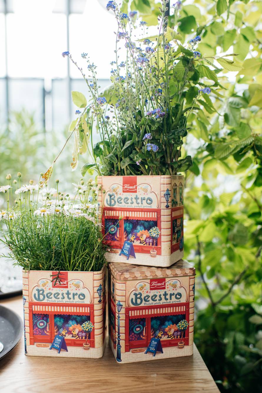 Znate li kada je svjetski dan pčela? Evo kako im zajedno možemo pomoći