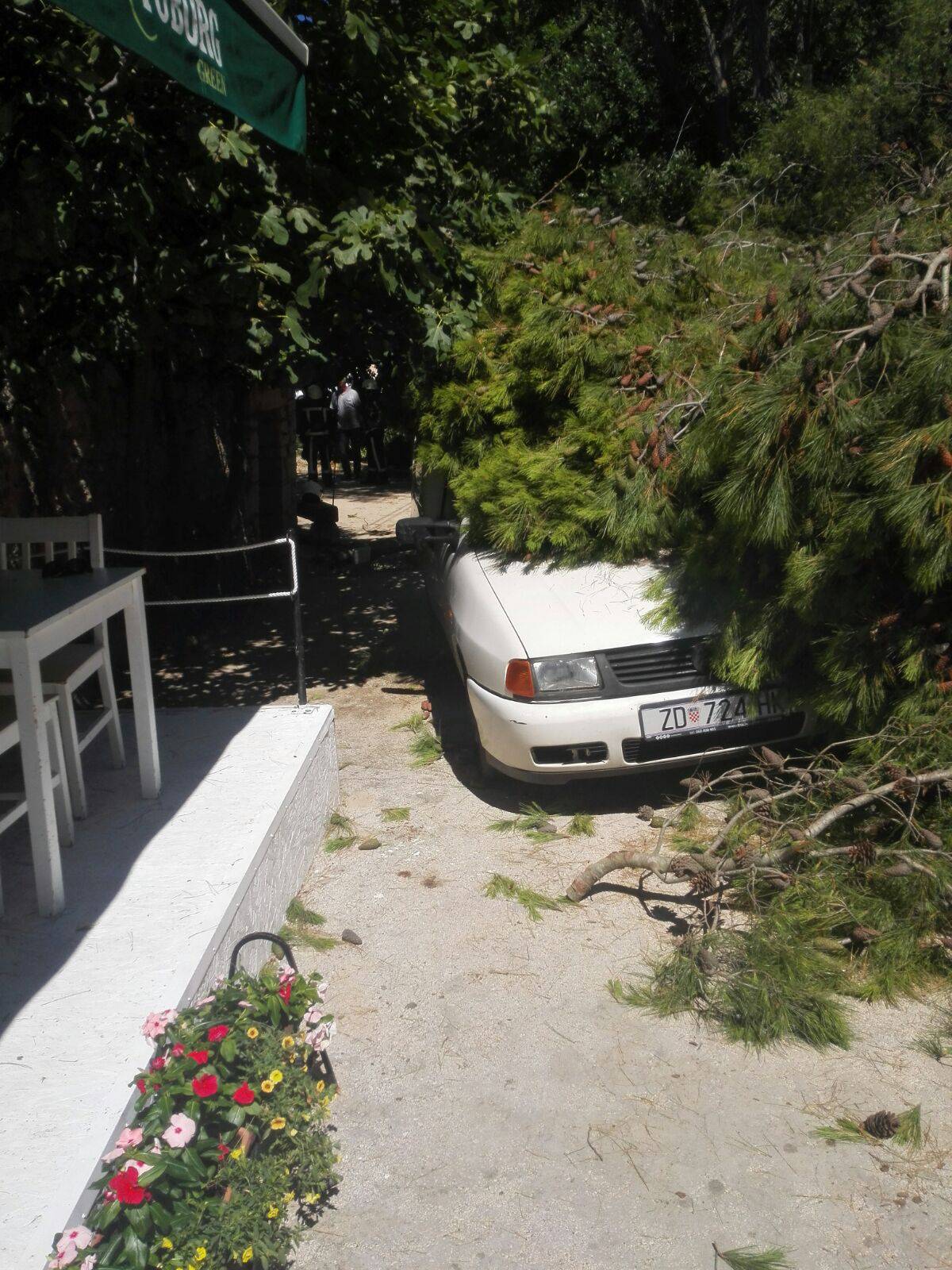 Srušilo se stablo  u autokampu: Grana je ozlijedila dvoje djece