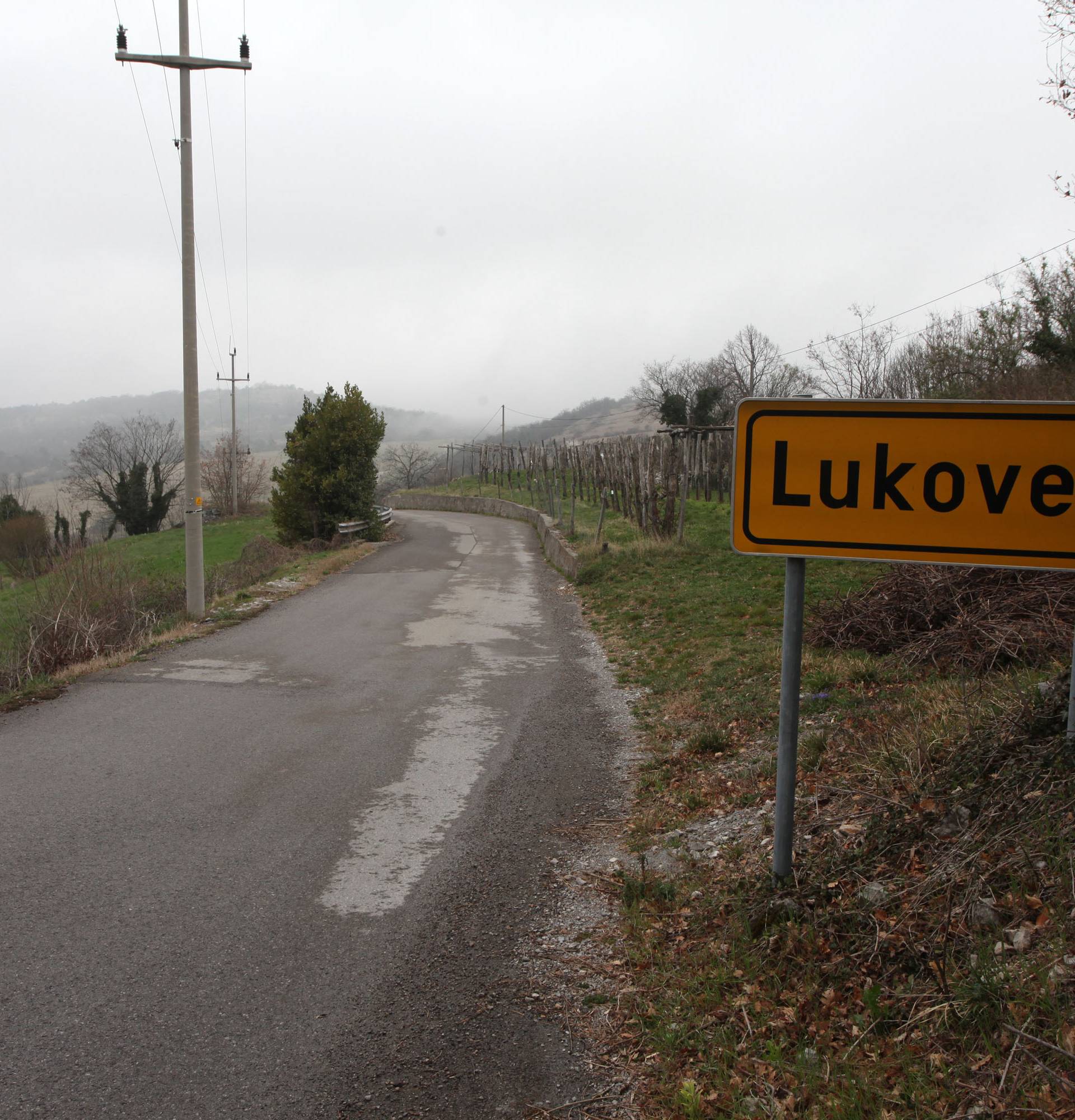 Užas u Sloveniji: Baki i bratu odrubio glave i spalio ih u peći