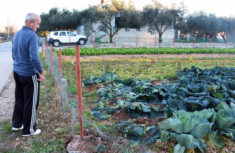 Spasili ženu od manijaka: 'Bez obzira na nož, nismo se bojali'