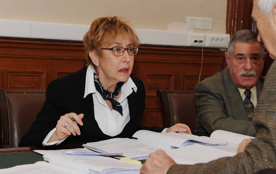 Hrvoje Jelavić/PIXSELL