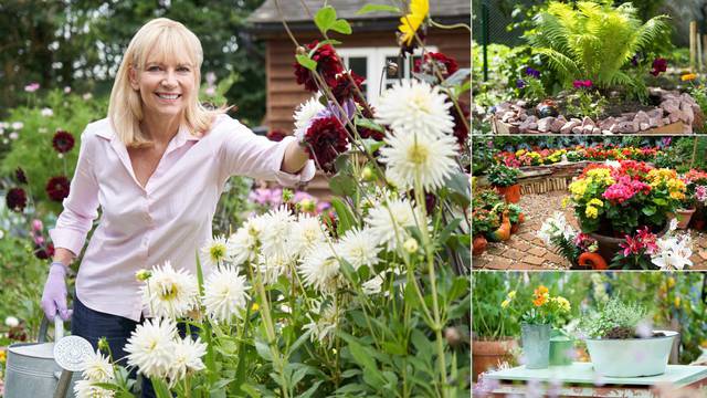 Super savjeti za uređenje vrta: Pričekajte da prođu svi mrazovi