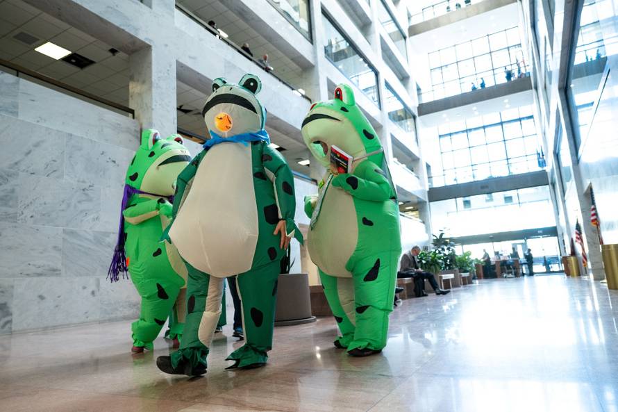 Portland Frogs Visit Congressional Offices on Capitol Hill