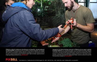 Tropski vikend u Zoo-u: Hrabri podragali mliječnu zmiju Fifi