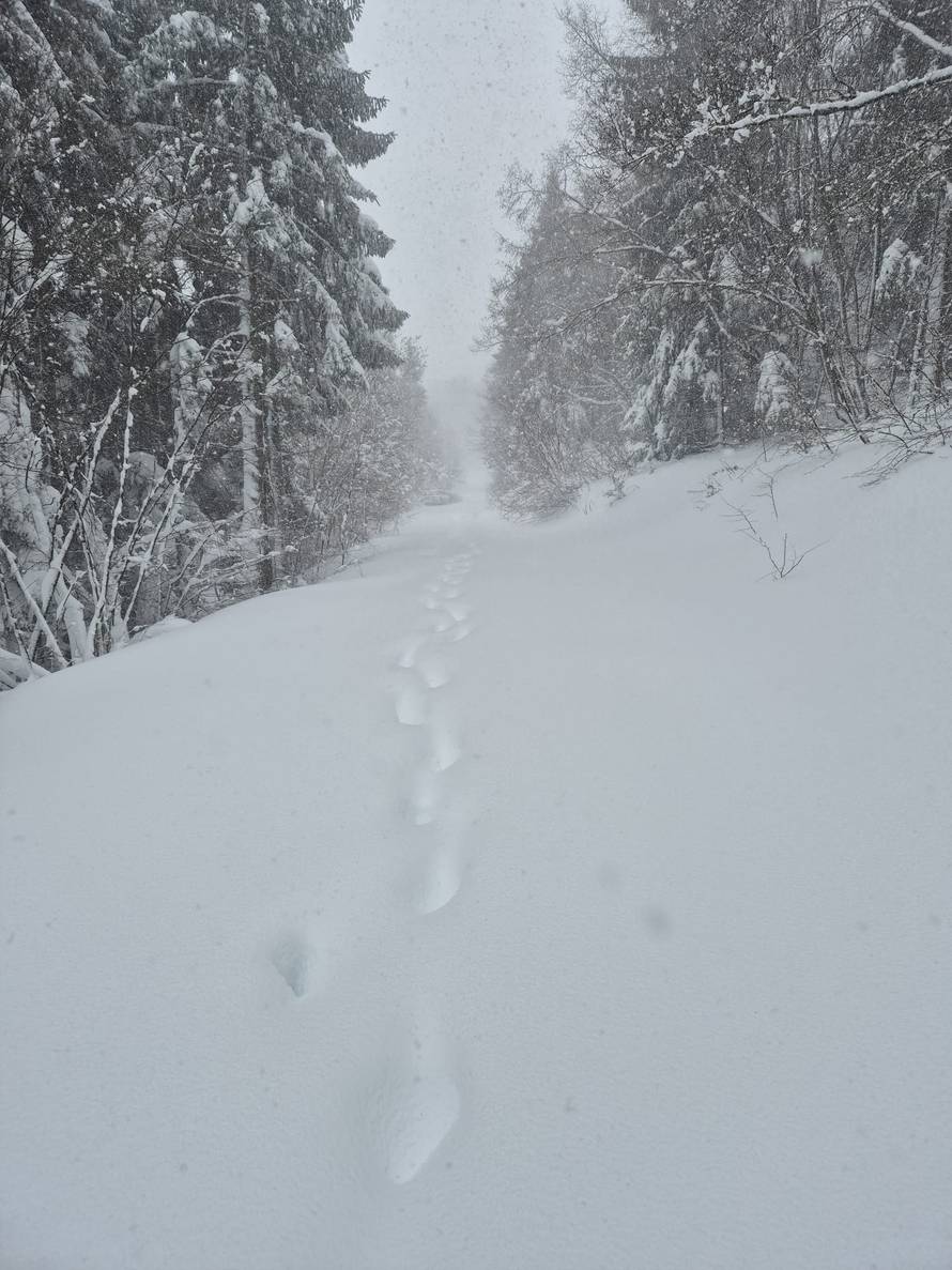 DRAMA NA PLITVICAMA Obitelj zapela u snijegu, vatrogasci se pješice probijali kroz nanose