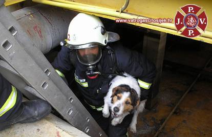 Osječki vatrogasci su spasili psa iz tanka s opasnim tvarima