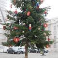 Počele pripreme za Advent: U Zagrebu postavljen okićeni bor, a božićne zvijezde krase ulice
