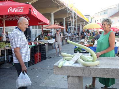Sicilijanska tikvica privlači pažnju kupaca na šibenskoj tržnici