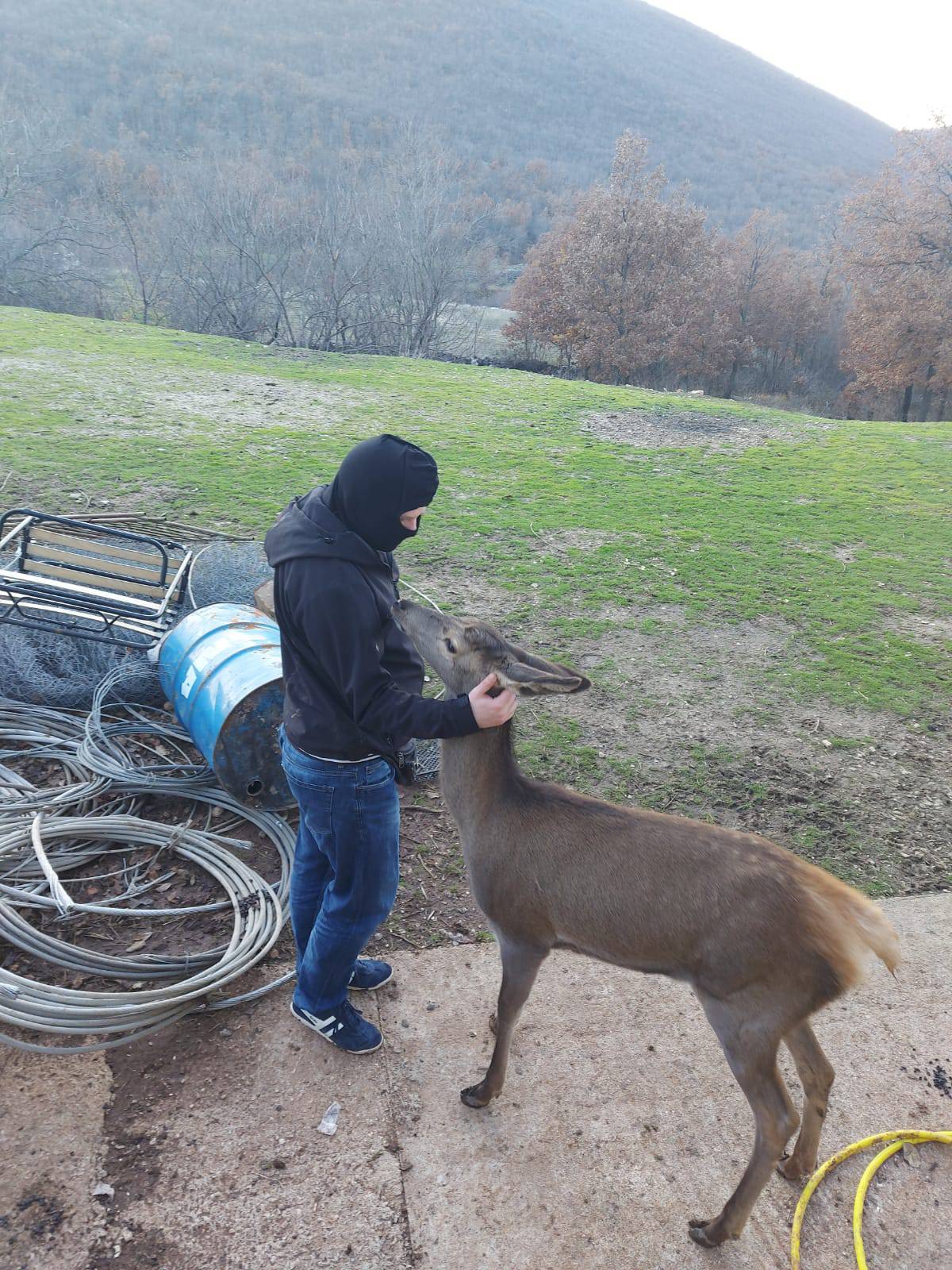 VIDEO Što si u kavu stavilaaa... 'Košuta me žicala gutljaj, jedva sam obranio šalicu. I sebe'