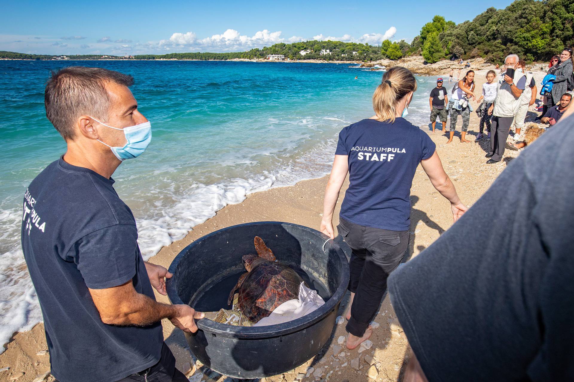 Pula: Povodom Svjetskog dana zaštite životinja, Aquarium Pula vratio oporavljene glavate želve u more