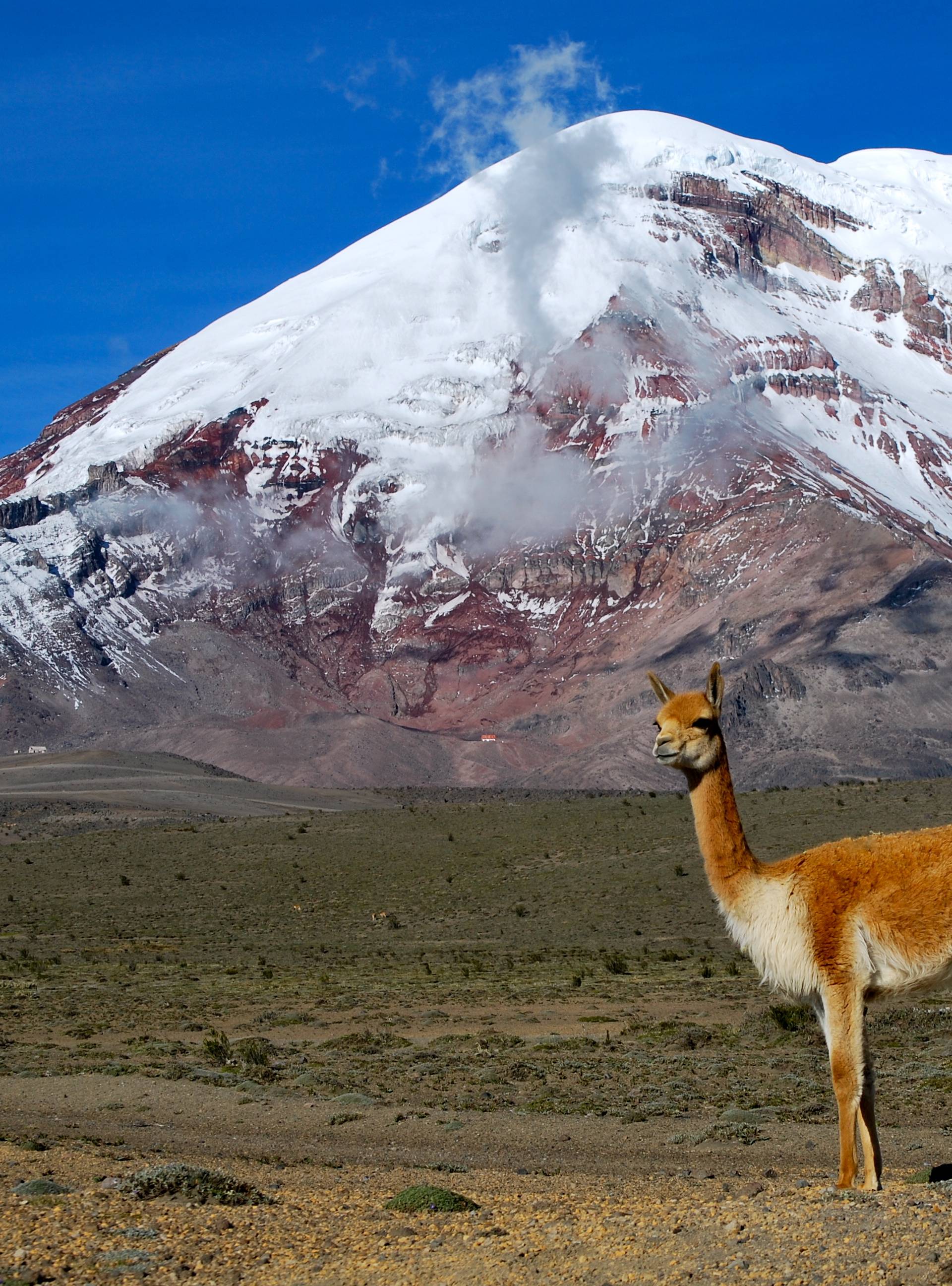 Vrh vulkana u Ekvadoru je najdalje od središta  Zemlje