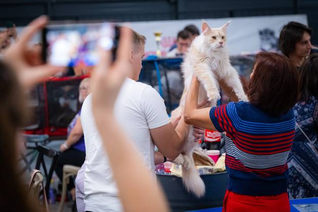 Zagreb: Drugi dan Međunarodne izložbe mačaka