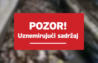 VIDEO Kod Biograda je izgorio peradarnik: Stradalo je više od 18 tisuća komada peradi...