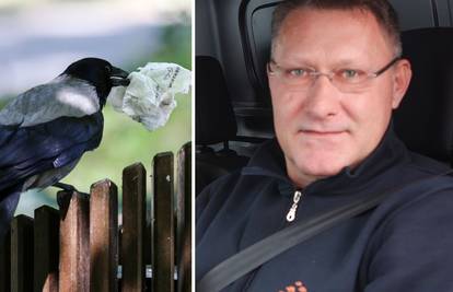 Riješen misterij napada vrana na zagrebačkoj Knežiji: U grmu kraj osnovne škole bio je ptić...