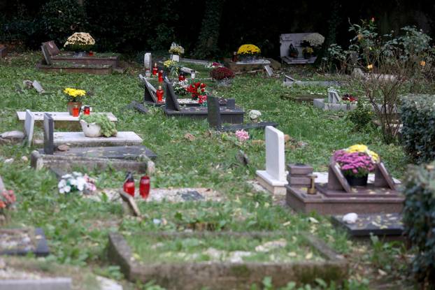 Rijeka: Groblje kućnih ljubimaca na Kozali