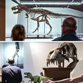 Ovo je kostur strašnog T-Rexa. Prodali su ga za 5,6 milijuna €