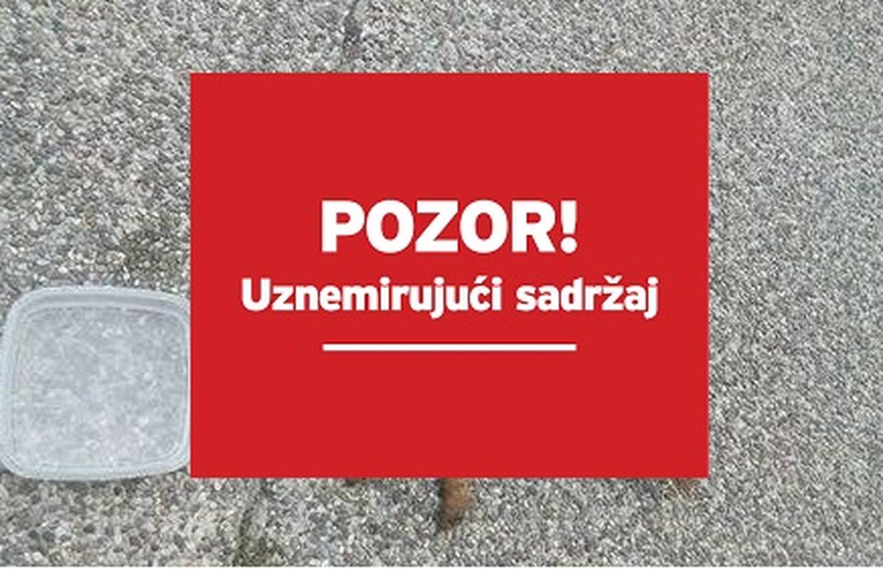Horor u Kutini: Bacili psa sa 6. kata zgrade, uginuo u mukama