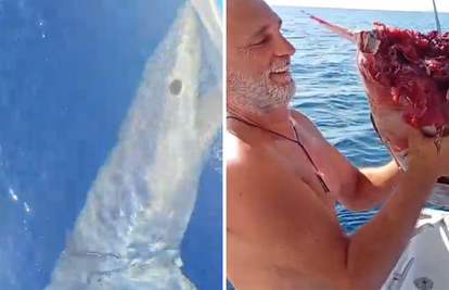VIDEO Ralje kod Žirja! Ribar u šoku: Morski pas mako zagrizao mi je brod,  pojeo je i dio ulova