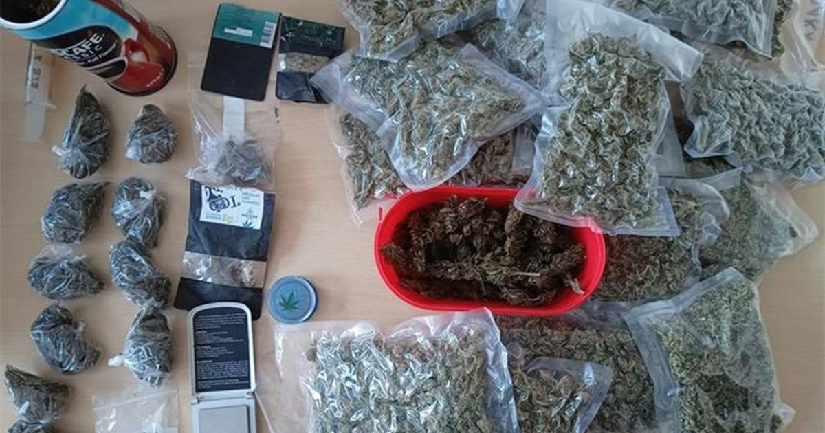Three individuals in Virovitica had 4.5 kg of marijuana confiscated by the police.