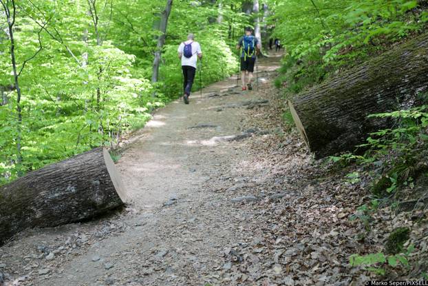 Zagreb: Tri tjedna nakon razorne oluje na Sljemenu i dalje vidljive posljedice 