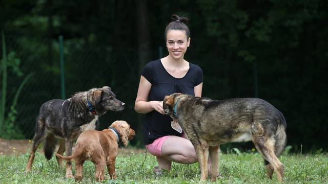 Maja iz Samobora udomila dva brata psa: 14 godina bili u azilu