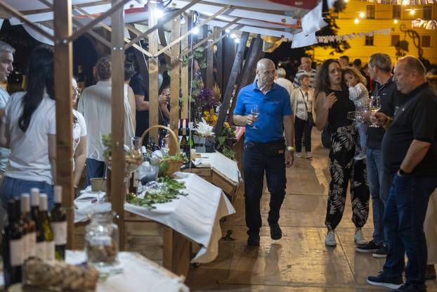 Ilok: Otvorenje 58. Iločke berbe grožđa