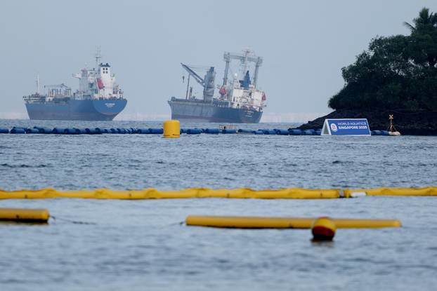 World Aquatics Championships