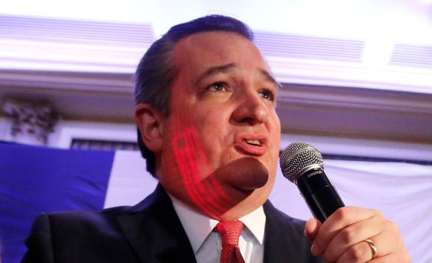 Republican U.S. Senator Ted Cruz speaks at midterm election night party in Houston, Texas