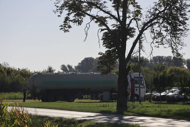 Sokolovac: Kreće eutanazija svinja, uvode se novi sigurnosni protokoli