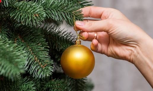 ANKETA Oti&scaron;ao bor s Trga bana Jela&ccaron;i&cacute;a, je li i iz va&scaron;eg doma?