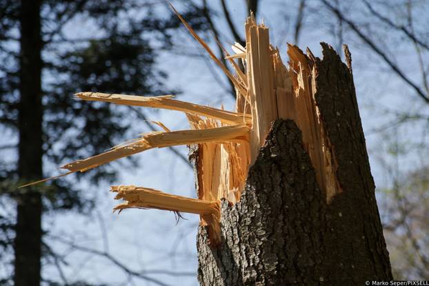 Zagreb: Tri tjedna nakon razorne oluje na Sljemenu i dalje vidljive posljedice 