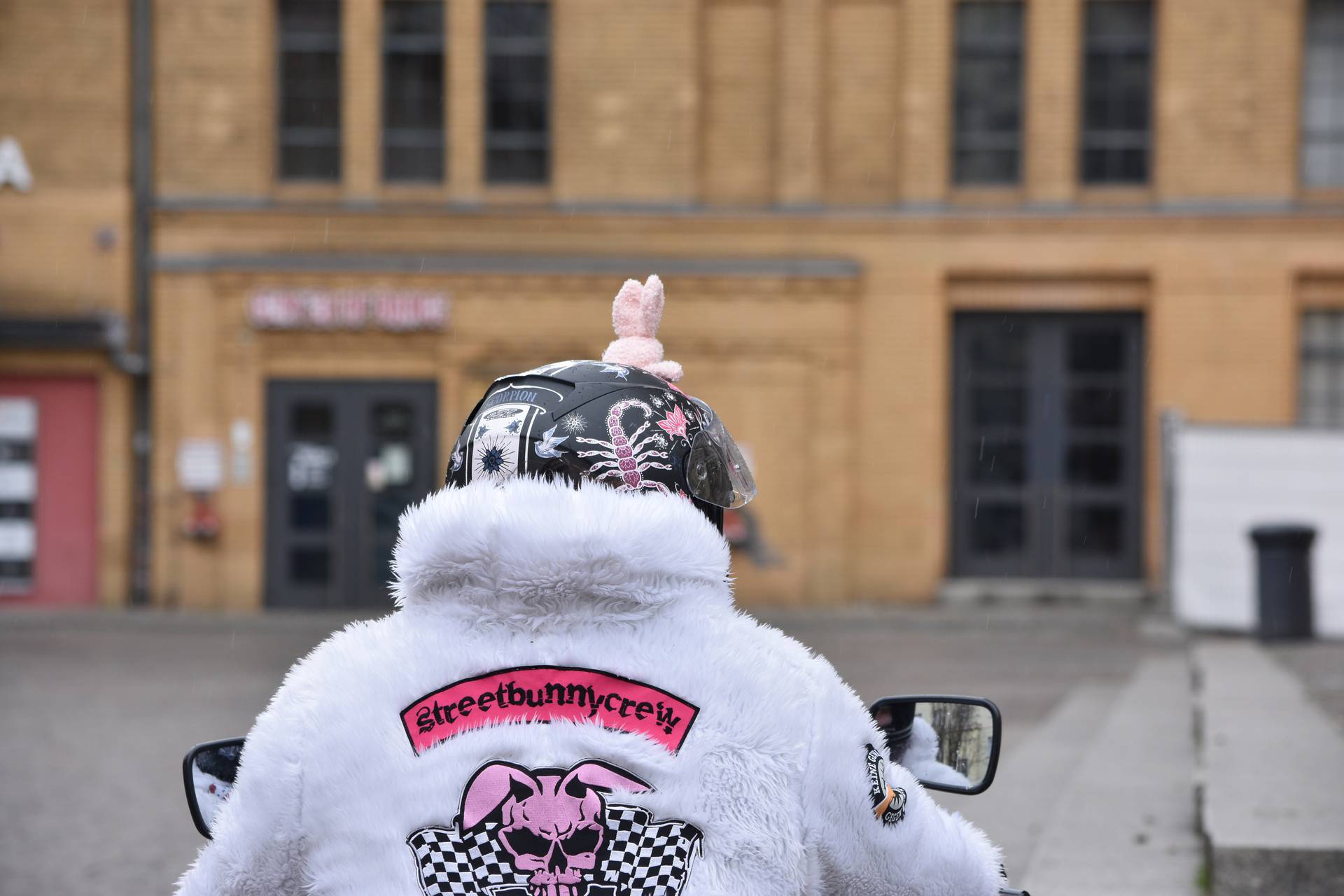 Donaldists, bikers as rabbits and other curious associations