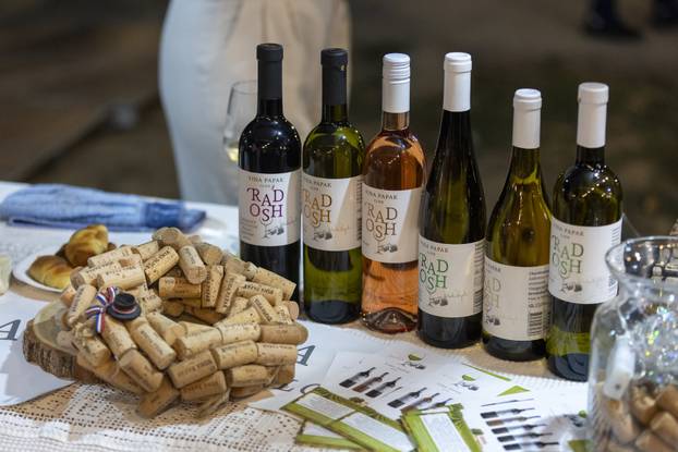 Ilok: Otvorenje 58. Iločke berbe grožđa