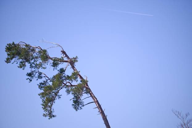 Zagreb: Posljedice olujnog nevremena na Sljemenu