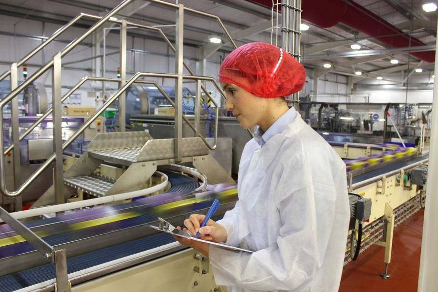 Za one koji biraju pametno: domaće trgovine koje nude sigurnost i vrijednost